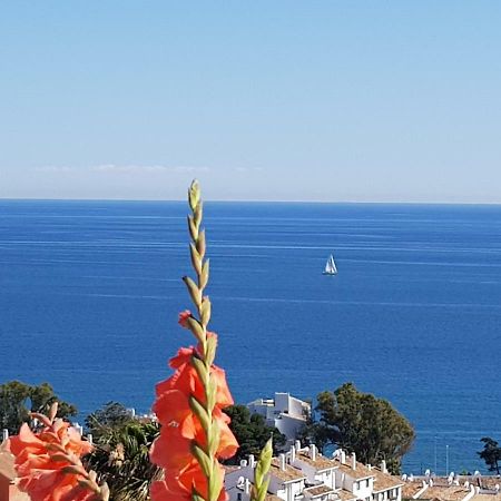 Garden Sea View Apartment Near Beach Sitio de Calahonda Eksteriør billede